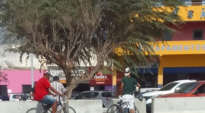 Comerciante pede instalação de radar e sinal de trânsito na BR-407, em Juazeiro, após acidentes e prejuízos ao comércio
