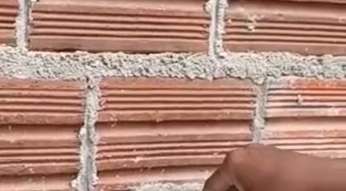 “Moramos às margens do rio e estamos sem água”: reclamam moradores da Vila São Francisco, em Maniçoba, zona rural de Juazeiro; SAAE responde