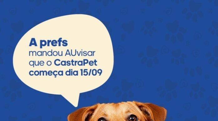 Prefeitura de Juazeiro divulga primeira lista de contemplados para Projeto de Castração de cães e gatos