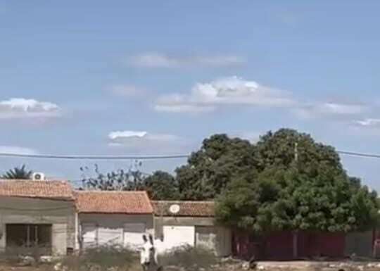 Portal Preto no Branco recebe denúncia de maus-tratos a um cavalo, em Juazeiro: “No sol quente, sem comida e água”