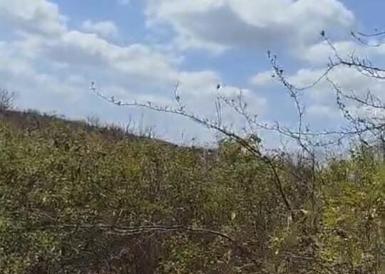 Moradora reivindica serviços de melhoria na barragem de Monte Alegre, em Itamotinga, Juazeiro