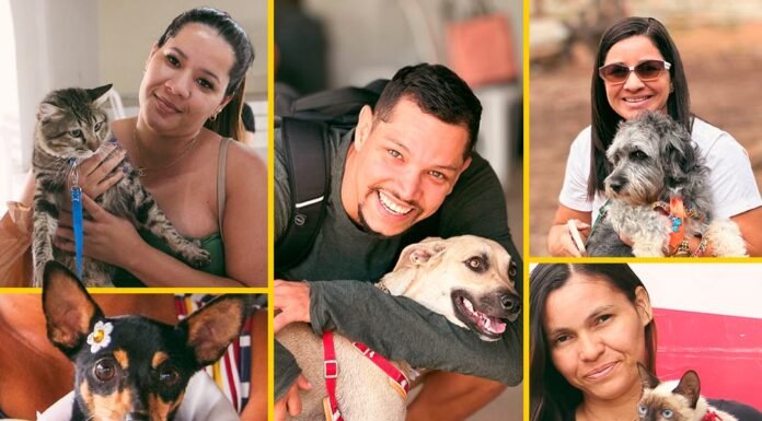 Juazeiro: Concluída ação inédita de castrações e microchipagens gratuitas em mais de 1.200 cães e gatos