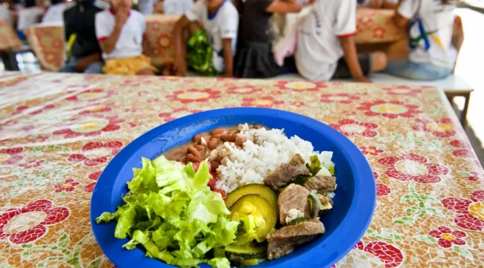 Aos 70 anos, programa de alimentação escolar brasileiro é referência